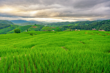 landscape rice fields of the mist floating over village at Pa Pong Pieng Chiang Mai, Thailand