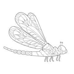 Contour linear illustration for coloring book with decorative cute dragonfly. Beautiful animal,  anti stress picture. Line art design for adult or kids  in zen-tangle style, tattoo and coloring page.