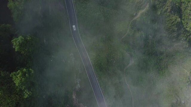 Aerial top down view of white car driving on country road in forest in the evening at twilight. Cinematic drone shot flying over gravel road in pine tree forest, Uttarakhand, India.