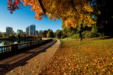 Stanley Park in Autumn - Vancouver, BC Canada travel and tourism - obrazy, fototapety, plakaty