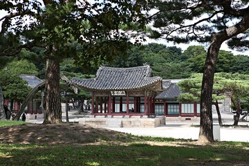 Fototapeta premium 한국의왕실창경궁입니다