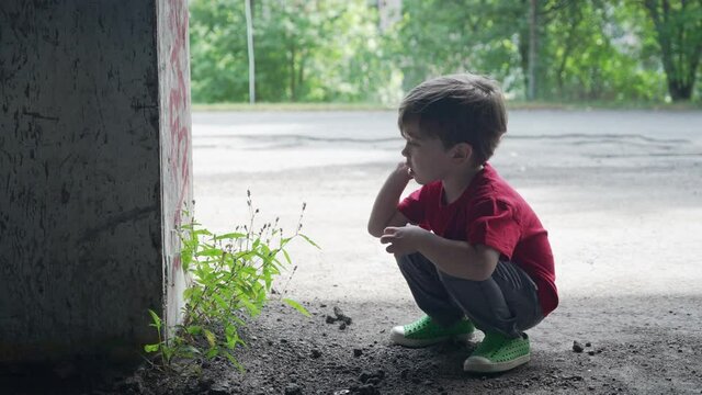 A young little boy is having fun and sitting near in sapling that grows in a abandoned building. Young boy playing in red t-shirt in a abandoned place.