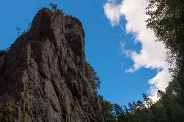 A Huge Cliff Beautifully Complemented by Forest and the Blue Cloudy Sky