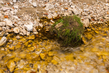 A Small Spot of Grass Growing by the Creek Beautifully Complemented by the Warm Colors of the Rocks