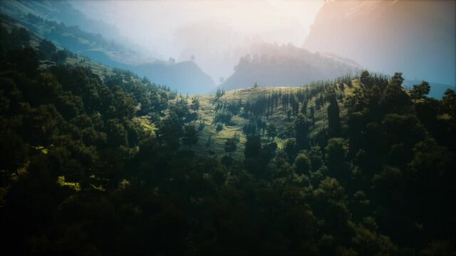 autumn forest on green rocky hills