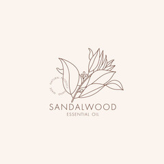Vector linear botanical icon and symbol - sandalwood. Design logo for essential oil sandalwood. Natural cosmetic product.