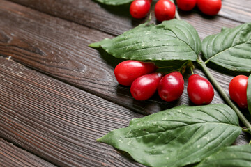 Branch with fresh dogwood berries on black wooden background, closeup