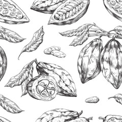 Seamless pattern design with cacao beans engraving vector illustration.