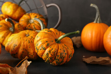 Many ripe pumpkins on dark background, closeup