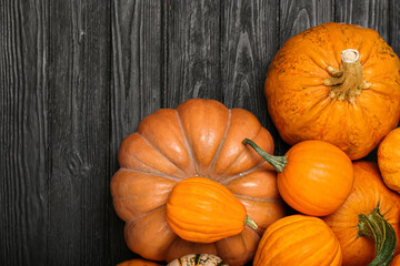 Many ripe pumpkins on dark wooden background, closeup