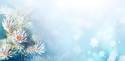 Fototapeta na wymiar Horizontal Christmas background with branch of fir tree