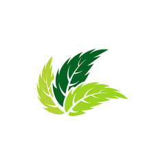 leaf logo icon design template vector