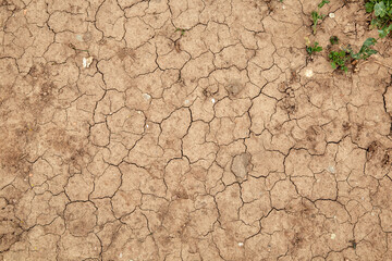 dry cracked soil during a drought