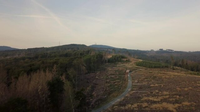 2in1 clip: Drone Aerial view of forest dieback caused by climate change, dryness and the bark beetle in the Taunus at Sandplacken in summer on a sunny day Gro&szlig;er Feldberg in background, Hessen Germany