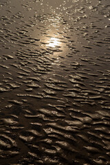 Mudflat, with tidal ripples pattern, at sunset with sunlight reflected in water