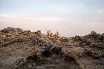 landscape in the morning