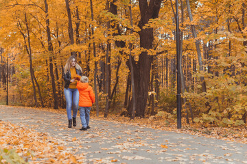 Mother and son walking in the fall park and enjoying the beautiful autumn nature. Season, single parent and children concept.