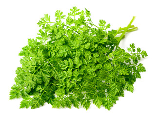 fresh chervil isolated on white background