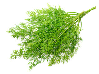fresh dill herb isolated on white background