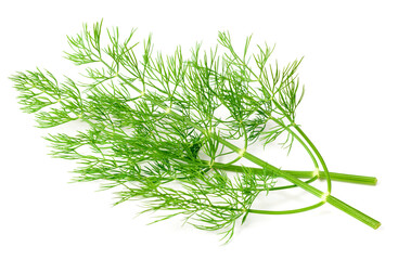 fresh dill herb isolated on white background