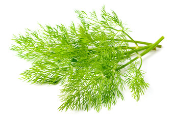 fresh dill herb isolated on white background