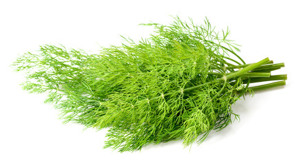 fresh dill herb isolated on white background