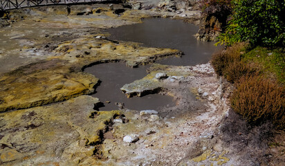 Geothermal fields near Furnas lake, Sao Miguel, Azores, portugal