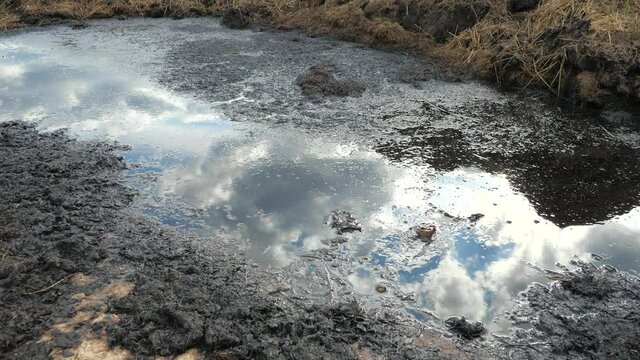 ool of dirty and horrible smell water. Splashes and drops from a stone that fell into the nuddy water