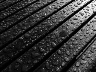 black and white bench with water droplets