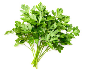 fresh flat-leaf parsley herb isolated on white background, top view