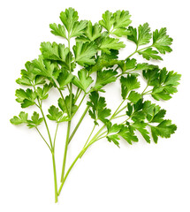 fresh flat-leaf parsley herb isolated on white background, top view