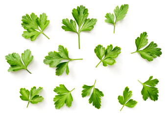 fresh flat parsley isolated on white background, top view - 459409939