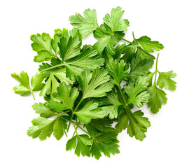 pile of fresh flat parsley leaves isolated on white background, top view