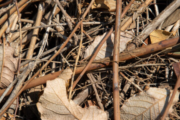 Close up image of dry plant material - leaves, twigs and grass