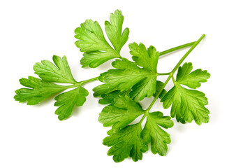 fresh flat parsley isolated on white background