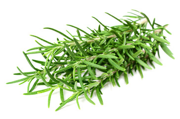 fresh rosemary isolated on white background