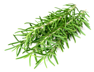 fresh rosemary isolated on white background