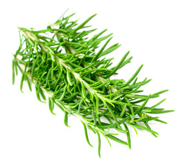 fresh rosemary isolated on white background