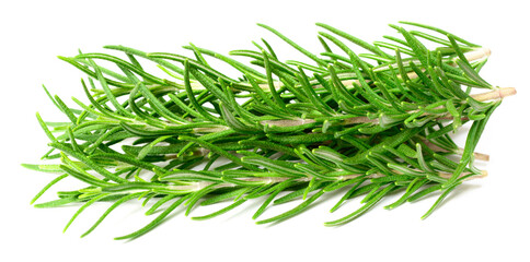 fresh rosemary isolated on white background