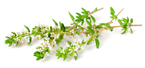 fresh thyme flowers isolated on white background