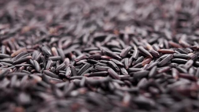 Black wild berry jasmine rice. Falling dry uncooked grains in slow motion. Asian traditional healthy diet food. Macro. Dolly shot