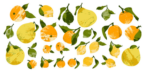 Juicy lemon, lime, mandarin, orange, clementine, bergamot, pomelo. Fresh citrus fruit, healthy organic food. Ripe fruits with leaves. Vector flat cartoon botanical illustration, for logo, stamp, mark