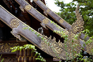 Fototapeta premium Famous temples, architectural appearance. Details closeup, Chiang Mai, Thailand