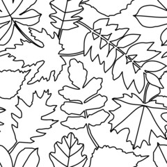 Leaves line drawing. Seamless vector pattern