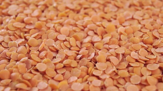 Orange dry uncooked lentils. Macro. Raw Indian legumes falling into a heap in slow motion. Rotation