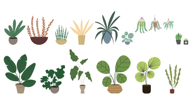 Set Plants planted in indoor pots to decorate the house vector , isolated on white background ,  Flat cartoon flat style. illustration Vector EPS 10