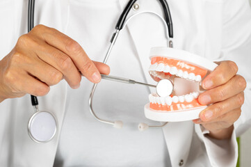 Zahnärztin mit einem Gebiss und einem Zahnspiegel für eine Kontrolluntersuchung