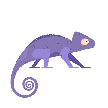 Cute small chameleon lizard in flat style. Vector illustration of animal on white background.