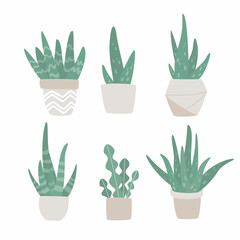 Hand drawn set of cute aloe vera and succulent plants growing in pots. aloe in pots. Houseplant pot vector illustration.