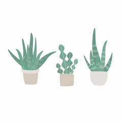 Hand drawn set of cute aloe vera plants growing in pots. aloe in pots. Houseplant flower pot vector illustration.